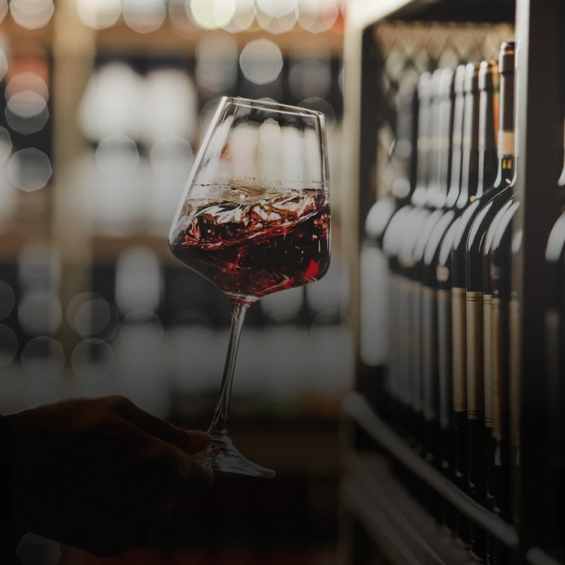 Elegant wine tasting in cellar setting